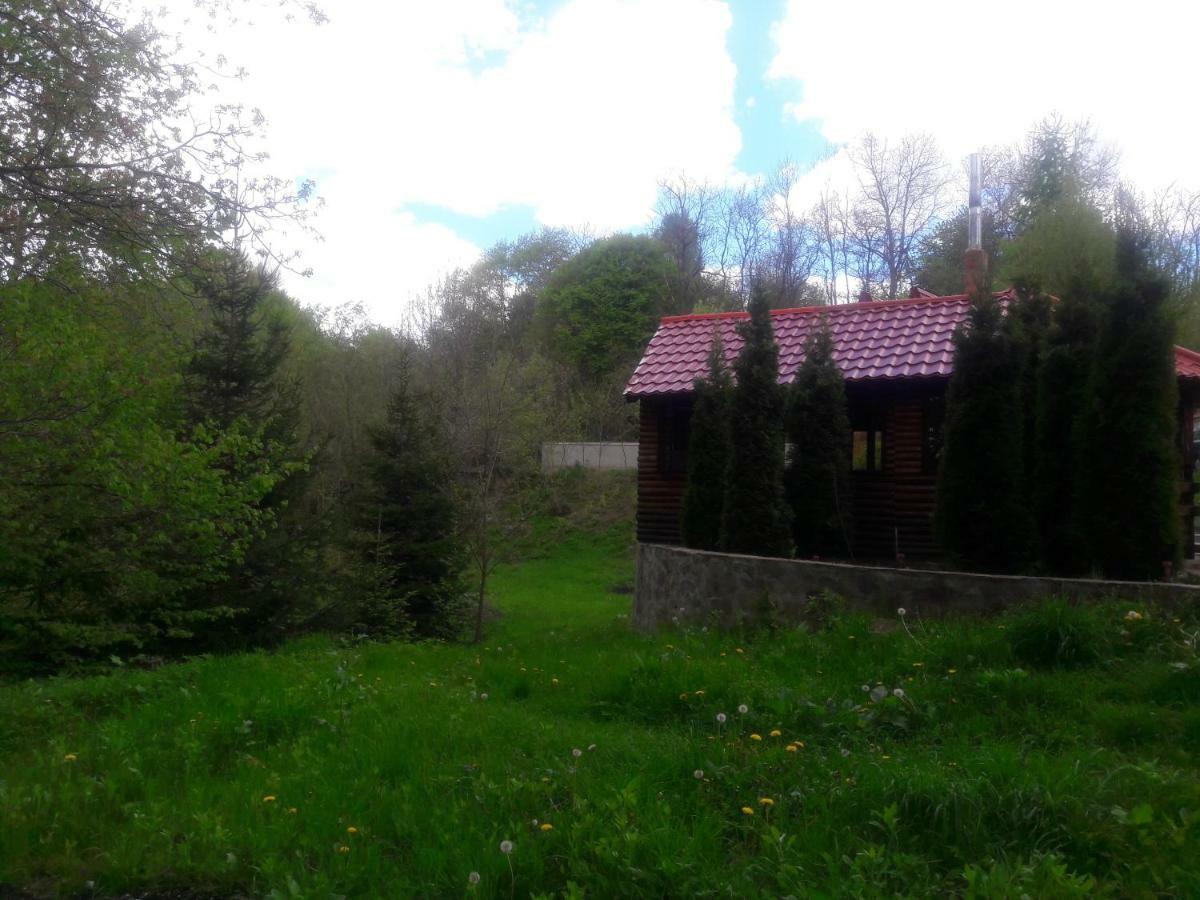 Готель Casa Daos Nucsoara  Екстер'єр фото
