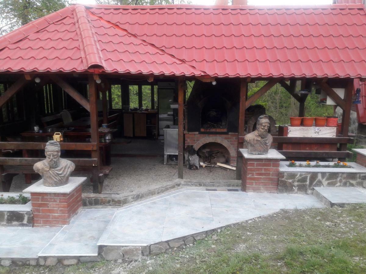 Готель Casa Daos Nucsoara  Екстер'єр фото