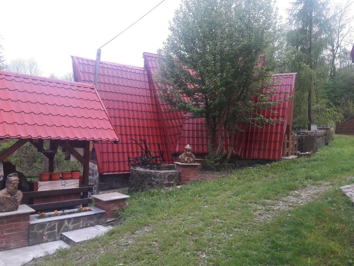 Готель Casa Daos Nucsoara  Екстер'єр фото